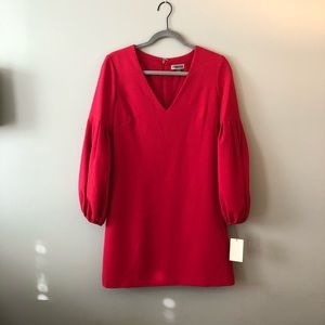 NWT Pink long bubble sleeve dress